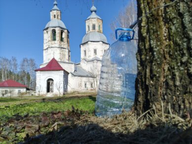 Один день из жизни Курмыша. Весеннее чудотворство!